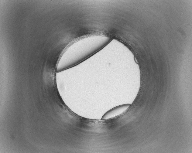 X0000114500288200911301133