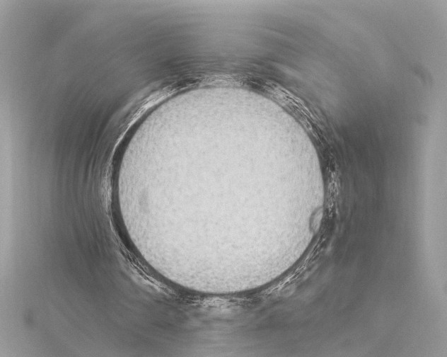 X0000114500290200911301132