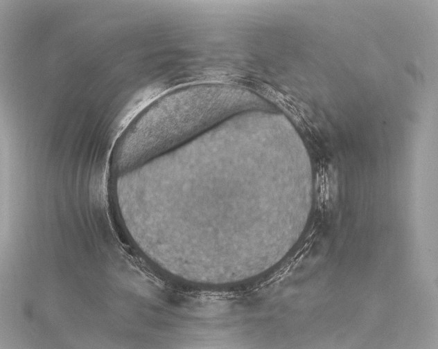 X0000114500292200911301132
