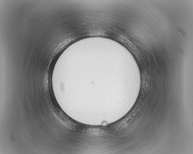 X0000114500298200911301132