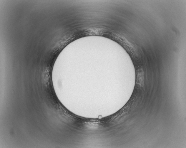 X0000114500318200911301132