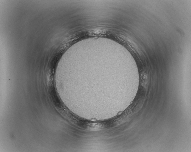 X0000114500324200911301132