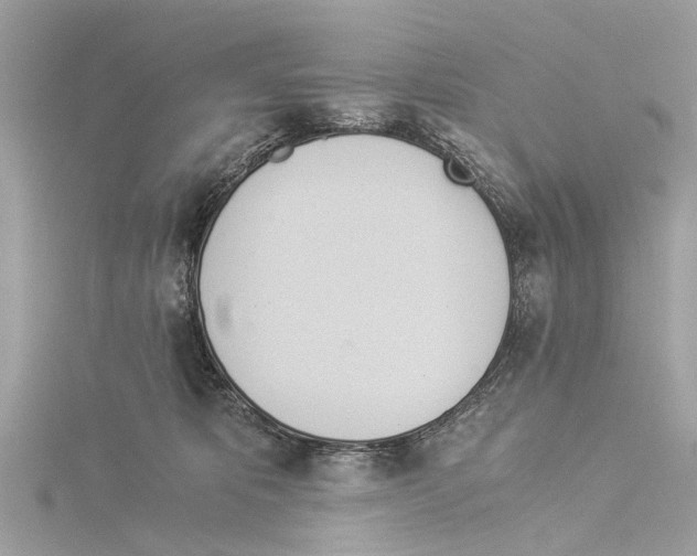 X0000114500325200911301132