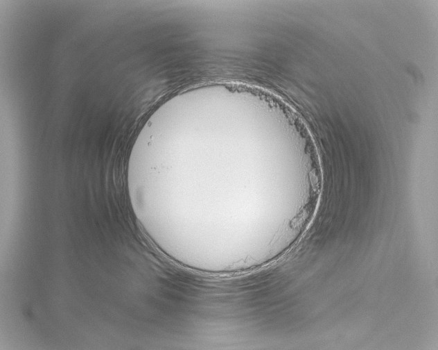 X0000114500336200911301131