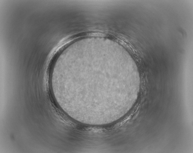 X0000114500343200911301131
