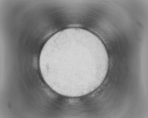X0000114500345200911301131