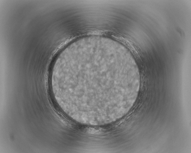 X0000114500346200911301131
