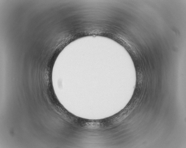 X0000114500362200911301131