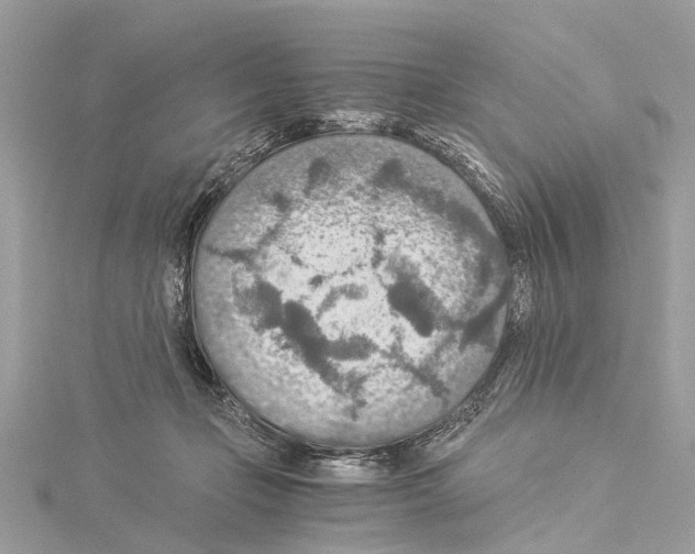 X0000114500365200911301131