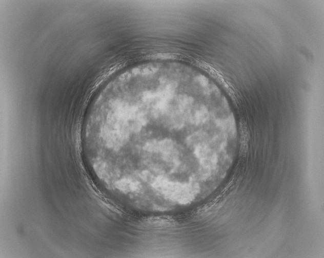 X0000114500386200911301131