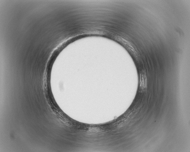 X0000114500388200911301131
