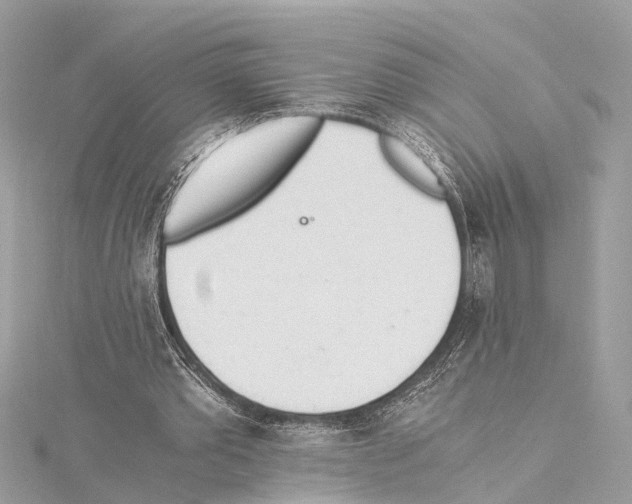 X0000114500389200911301131