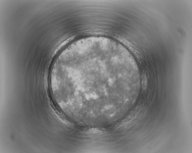 X0000114500390200911301131