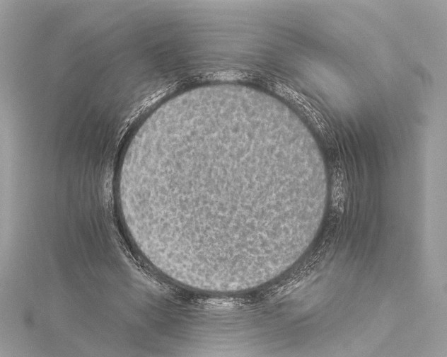 X0000114500394200911301131