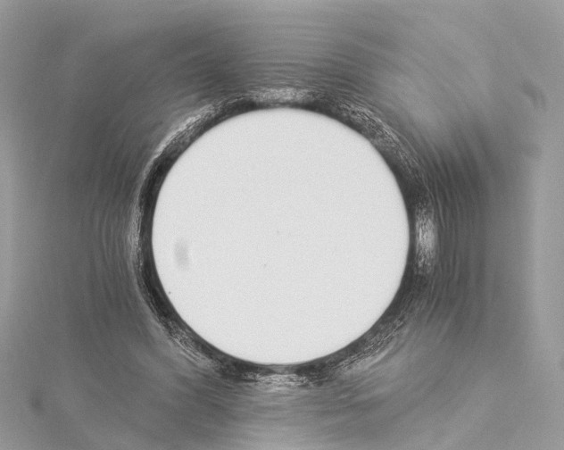 X0000114500396200911301131