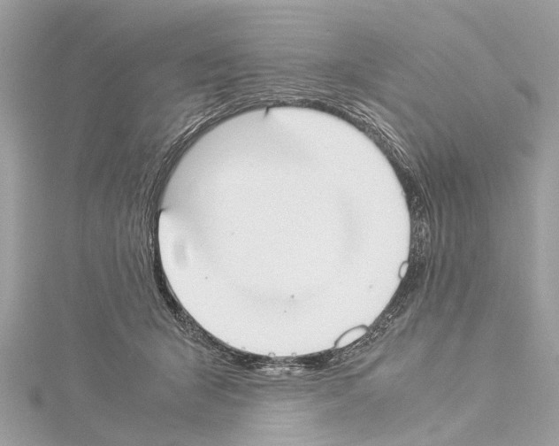 X0000114500415200911301130