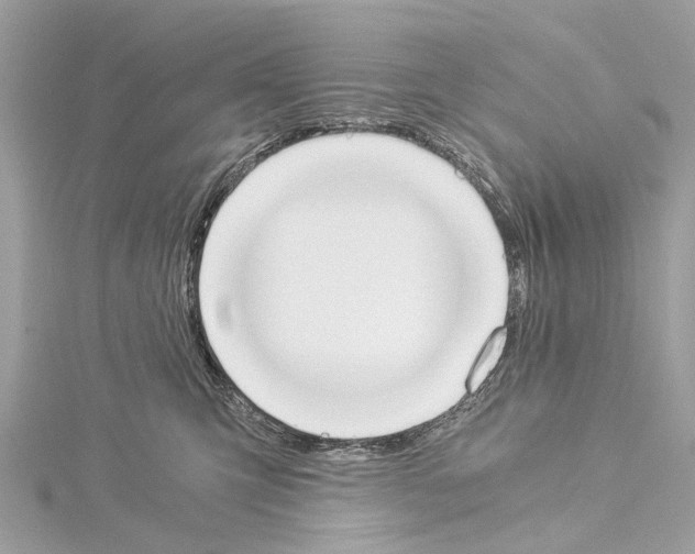 X0000114500423200911301130