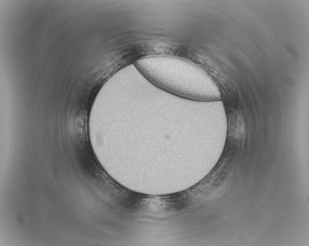 X0000114500425200911301130