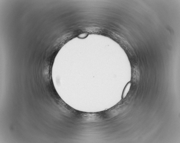 X0000114500428200911301130