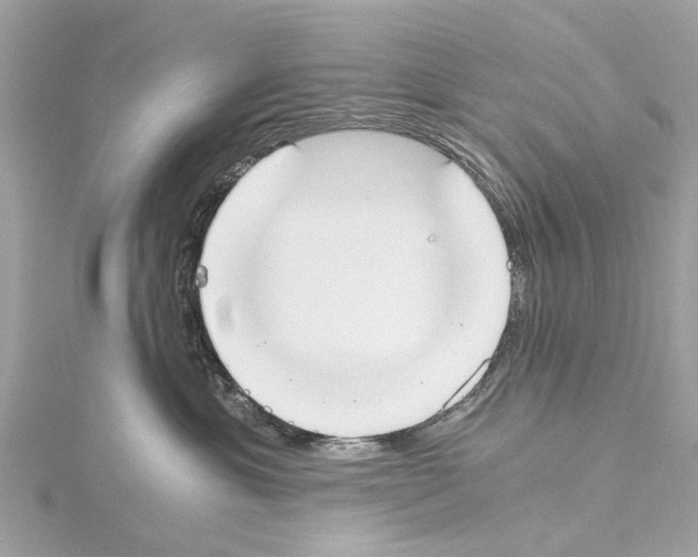 X0000114500429200911301130