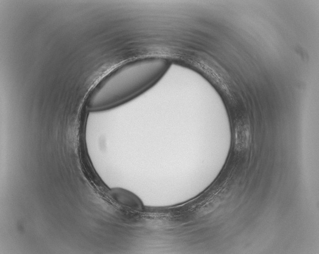 X0000114500436200911301130