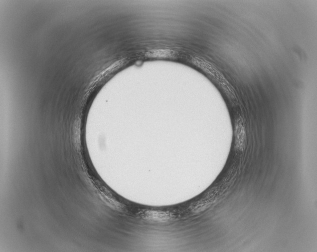 X0000114500442200911301130