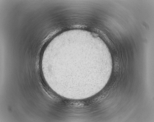 X0000114500443200911301130
