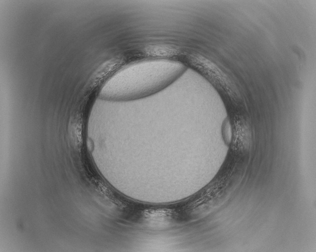 X0000114500452200911301130