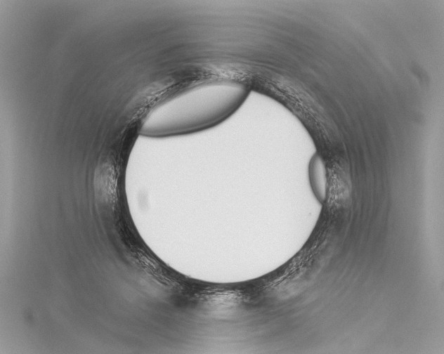 X0000114500456200911301130