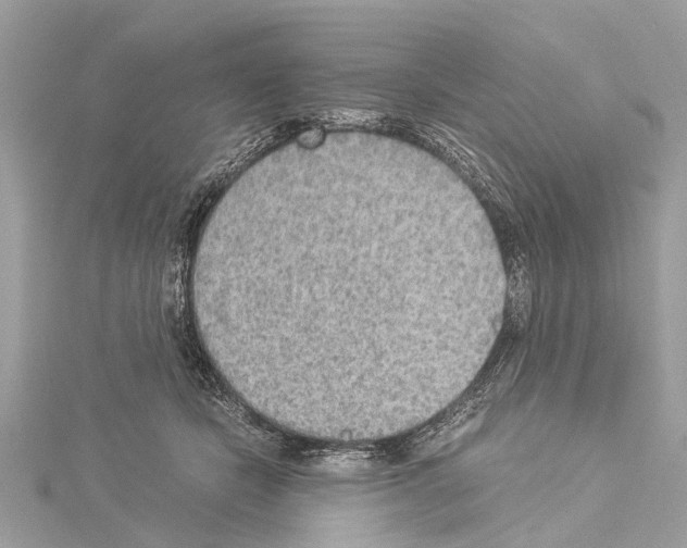 X0000114500462200911301130