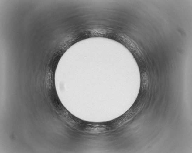 X0000114500463200911301130