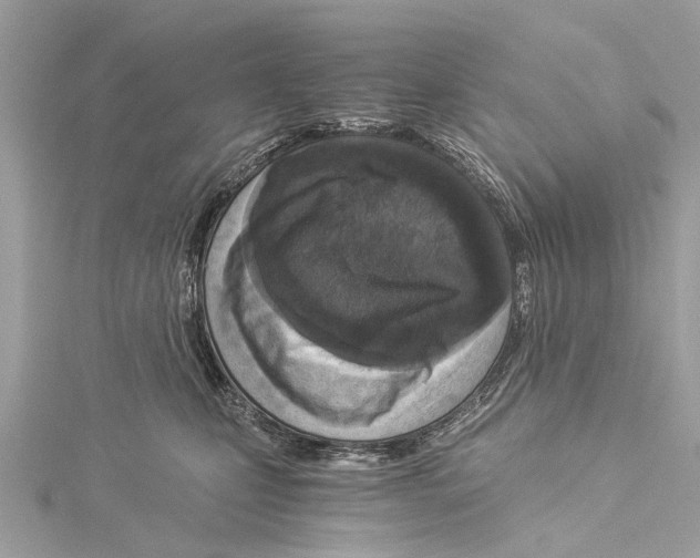 X0000114500471200911301130