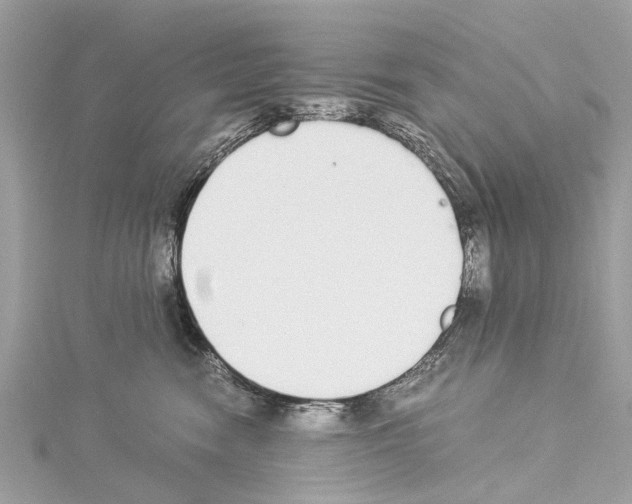 X0000114500474200911301130