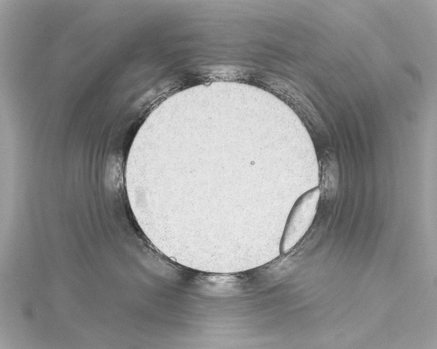 X0000114500478200911301130