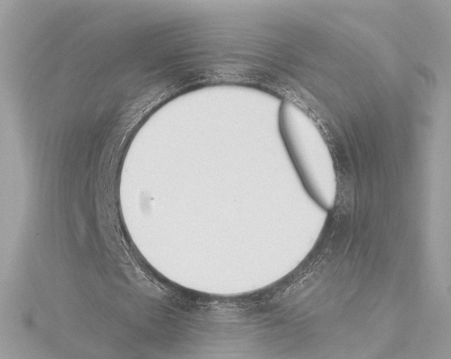 X0000114500481200911301130