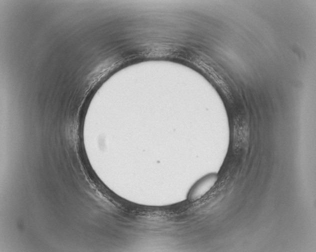 X0000114500485200911301129