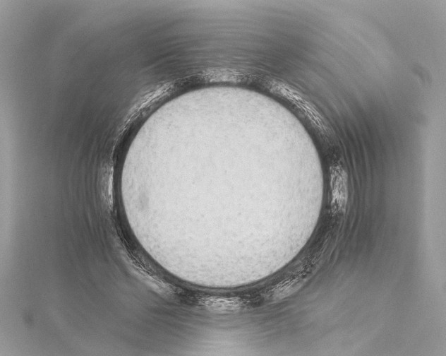 X0000114500494200911301129