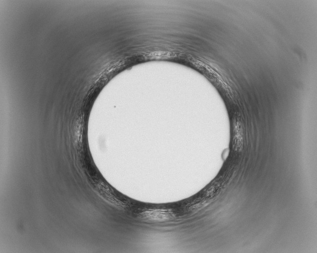 X0000114500499200911301129