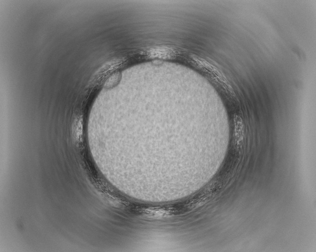 X0000114500502200911301129