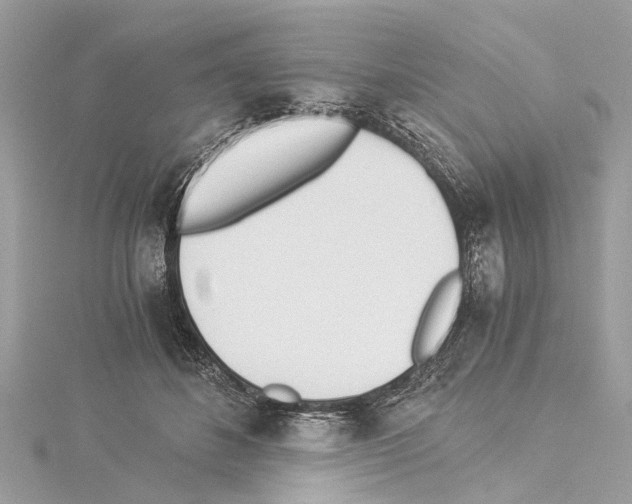 X0000114500508200911301129