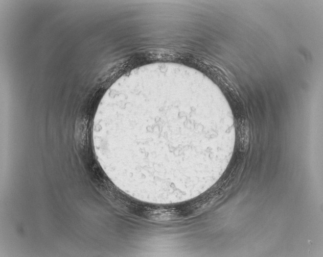 X0000114500511200911301129