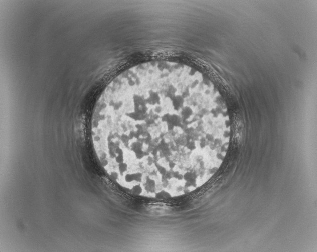 X0000114500519200911301129