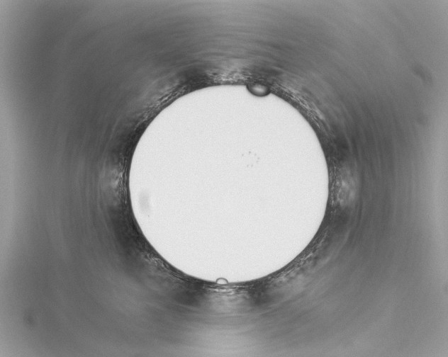 X0000114500521200911301129