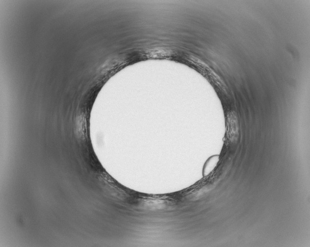 X0000114500523200911301129