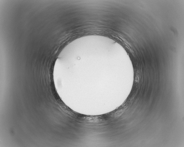 X0000114500524200911301129