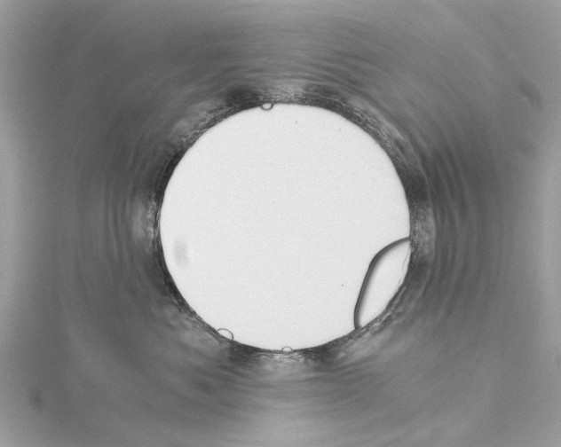 X0000114500525200911301129