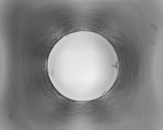 X0000114500528200911301129