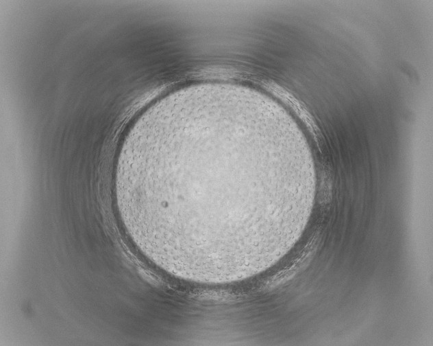 X0000114500529200911301128