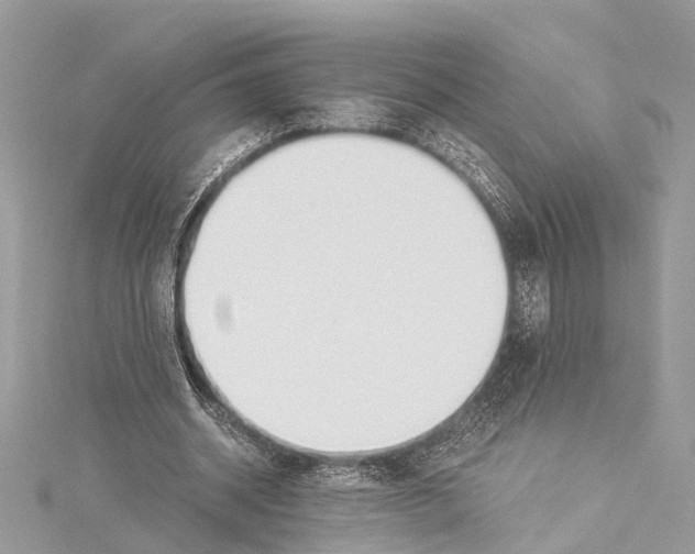 X0000114500534200911301128