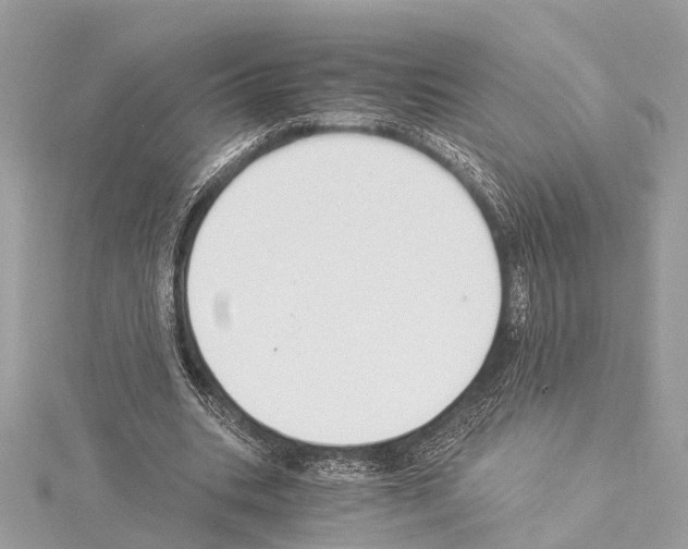 X0000114500535200911301128